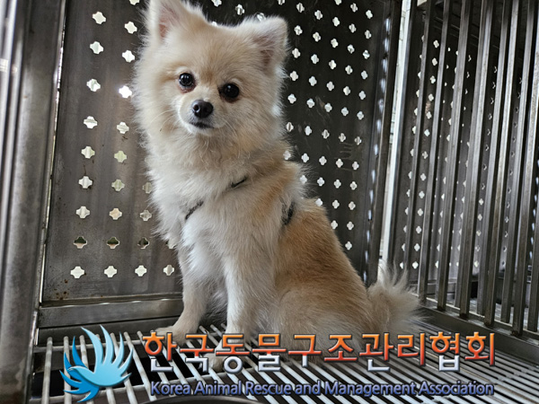 한국동물구조관리협회_441409202401994